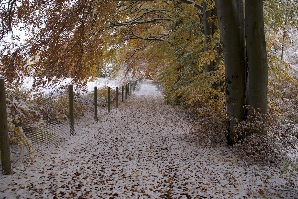 Gasthof Jägerheim Birgland Exterior foto