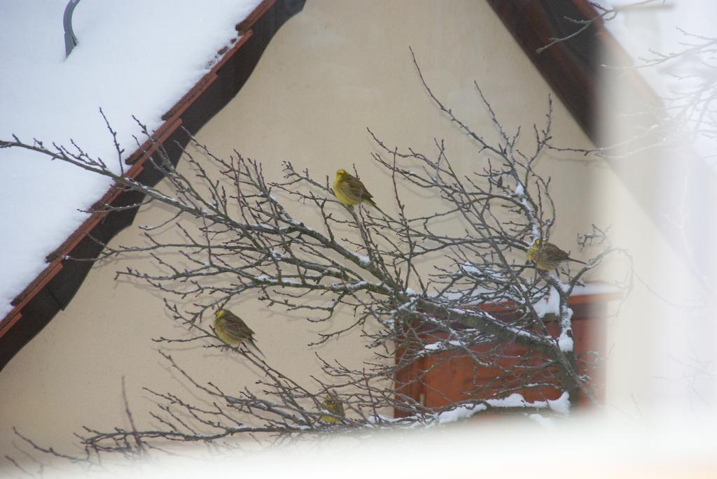 Gasthof Jägerheim Birgland Exterior foto