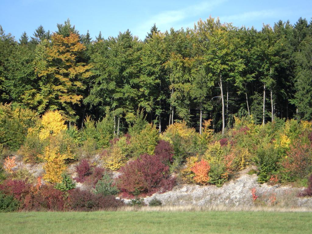 Gasthof Jägerheim Birgland Exterior foto